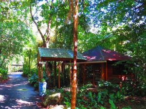 Daintree Rainforest Retreat Motel