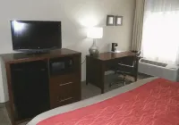 Comfort Inn Grain Valley - Kansas City