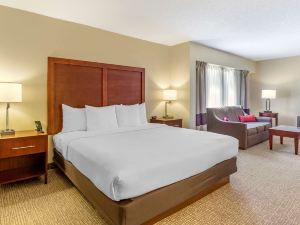 Comfort Inn Quantico Stafford