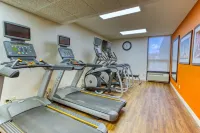 Drury Inn and Suites St Louis Collinsville - Gym
