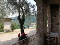 La Tartufaia