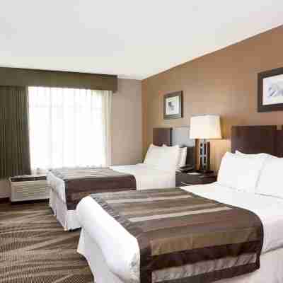 Wingate by Wyndham Raleigh Durham / Airport Rooms