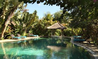 Tonys Villas & Resort, Seminyak - Bali
