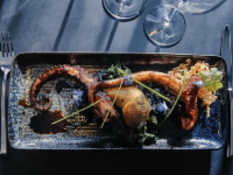 美居土倫濱海拉塞訥酒店 濱海拉塞訥酒店