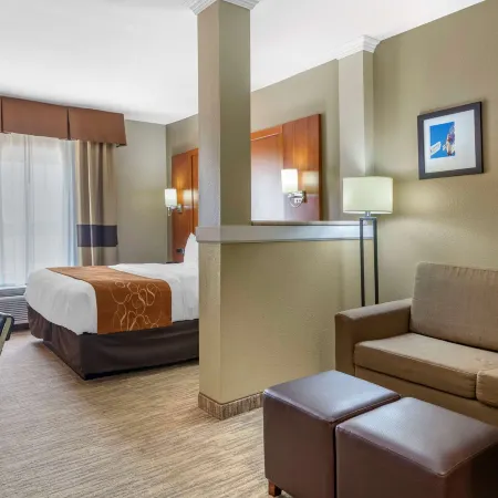 Comfort Suites - University