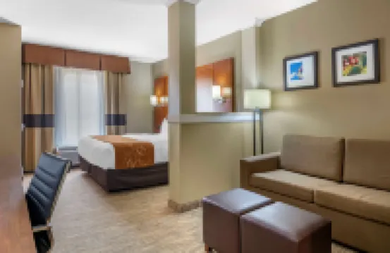 Comfort Suites - University