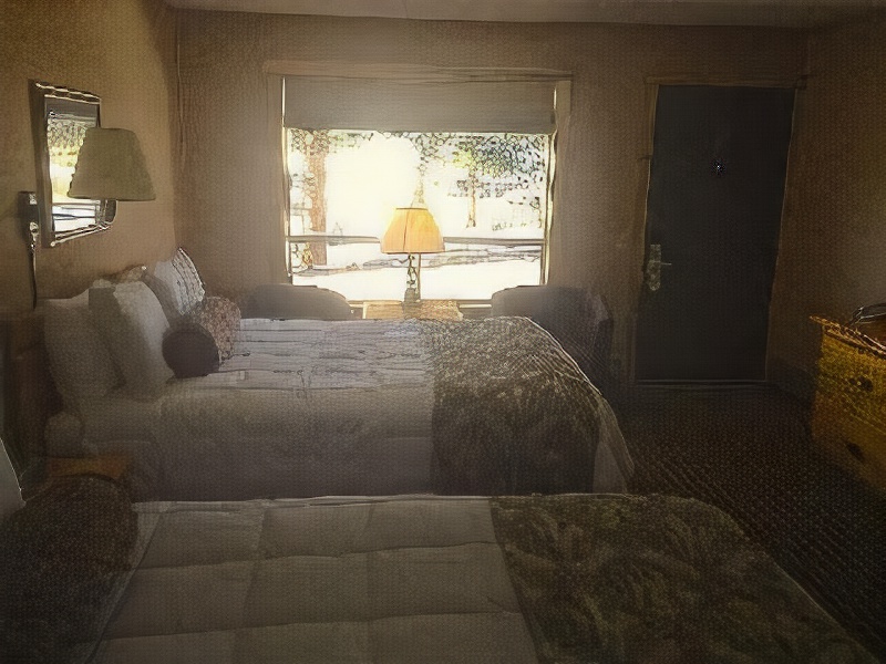 Coyote Mountain Lodge