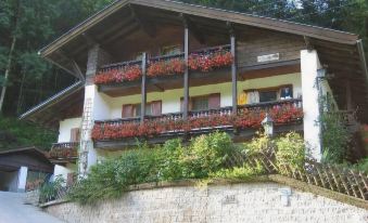 Hotel Alpenresi