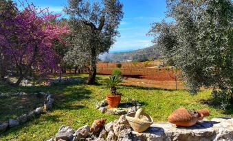 Villa Cycas Relaxation in Nature