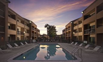 Courtyard Orlando Airport