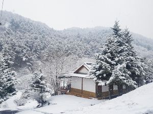 Hwaya Mountain Pension