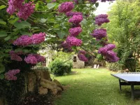L'Arcane du Bellay Hotels in Ternay