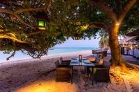 Phi Phi Holiday Resort Hotels in Phi Phi Islands