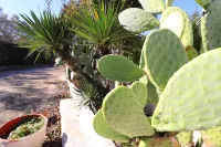 Malvasia House in Torre Santo Stefano in Otranto