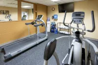Med City Inn & Suites Rochester Mayo Clinic Area - Gym