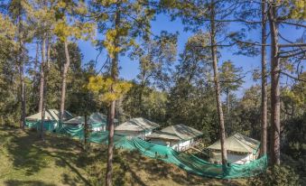 Camp Bliss Ranikhet