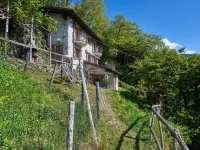 Ronco Hotels in Dongo