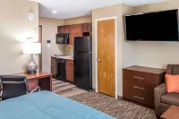 MainStay Suites Edinburg Hotels in Edinburg