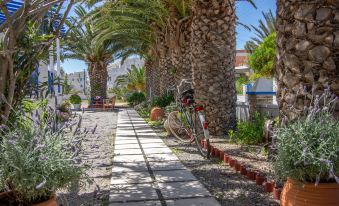a sunny day with palm trees lining the sidewalk , and a bicycle parked near a building at Syros Atlantis