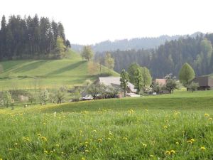 Landgasthof-Hotel Adler