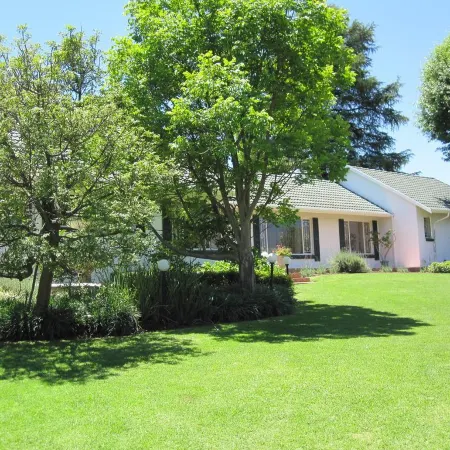 The Pecan Tree Guesthouse
