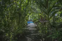 卡維塔阿特蘭蒂達山林小屋 - 早餐