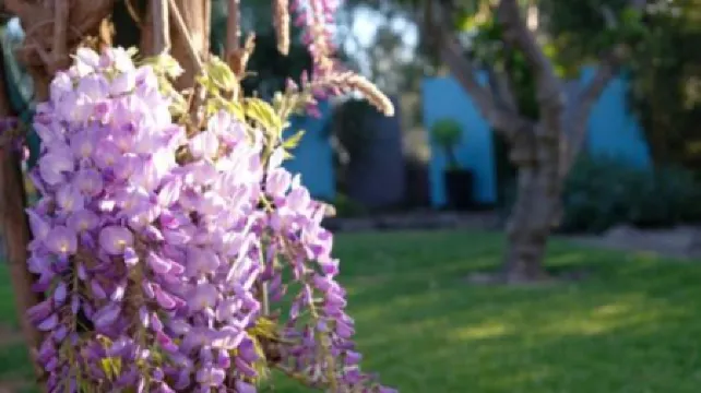 Loddon River Motel Kerang