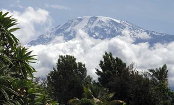 Ameg Lodge Kilimanjaro