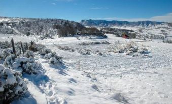 Wild Skies Cabin Rentals in Craig