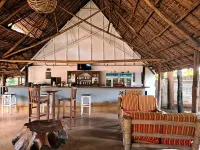 Honey Badger Lodge - bar