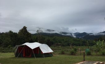 The Little Earth Farm View