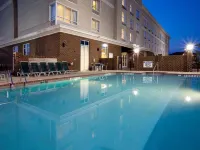 Holiday Inn STATESBORO-UNIVERSITY AREA by IHG - Wifi