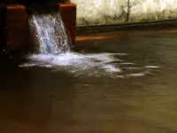 Kousagi No Yado Arakawaso - Kaplıcalı
