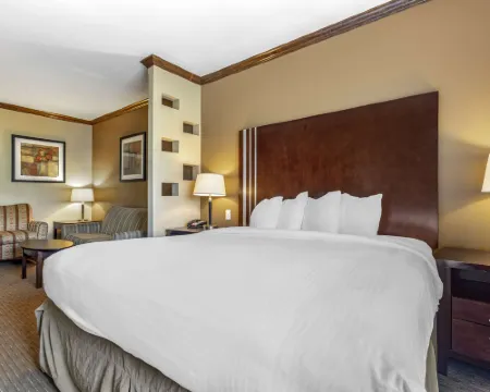 Best Western Plus Texoma Hotel  Suites Hotels in Grayson County