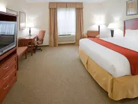 Holiday Inn Express & Suites DECATUR by IHG Hotels in Wise County