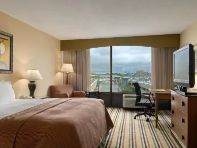 Hilton Knoxville Airport Отели в г. Меривиль
