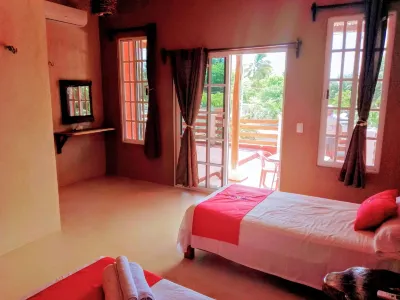 Tribe Beachville Các khách sạn ở 