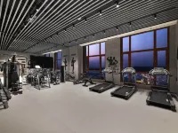 Novotel Jinniu Hotel - Gym
