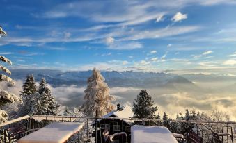 Hotel Bergsonne Rigi