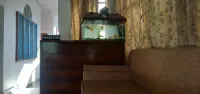Hotel Kailash Inn, Dehradun