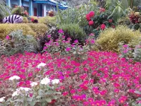 The Ocean Blue Resort