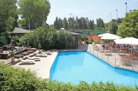 Scheck Hotel - piscina