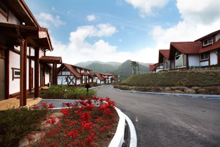 Boseong Boseong Green Tea Resort Отели в г. Посон