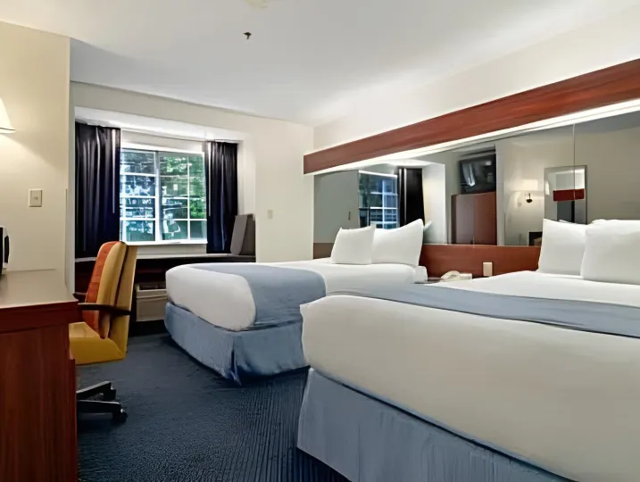 Microtel Inn & Suites by Wyndham Atlanta Airport