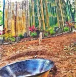 Raw Camping at Camping Paradise Singalong Mountain Garden Hotel a Baras