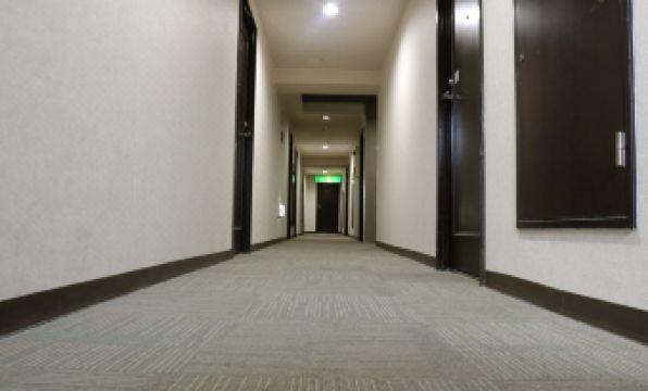 Hamamatsu Station Hotel