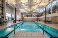 Crowne Plaza CHICAGO OHARE HOTEL & CONF CTR by IHG - Beach