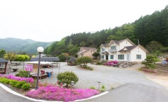 Hongcheon Peacock Farm Pension