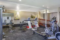 Quality Inn & Suites Edmonton International Airport - Gym