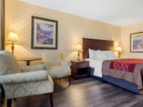 Comfort Inn & Suites レヴィのホテル